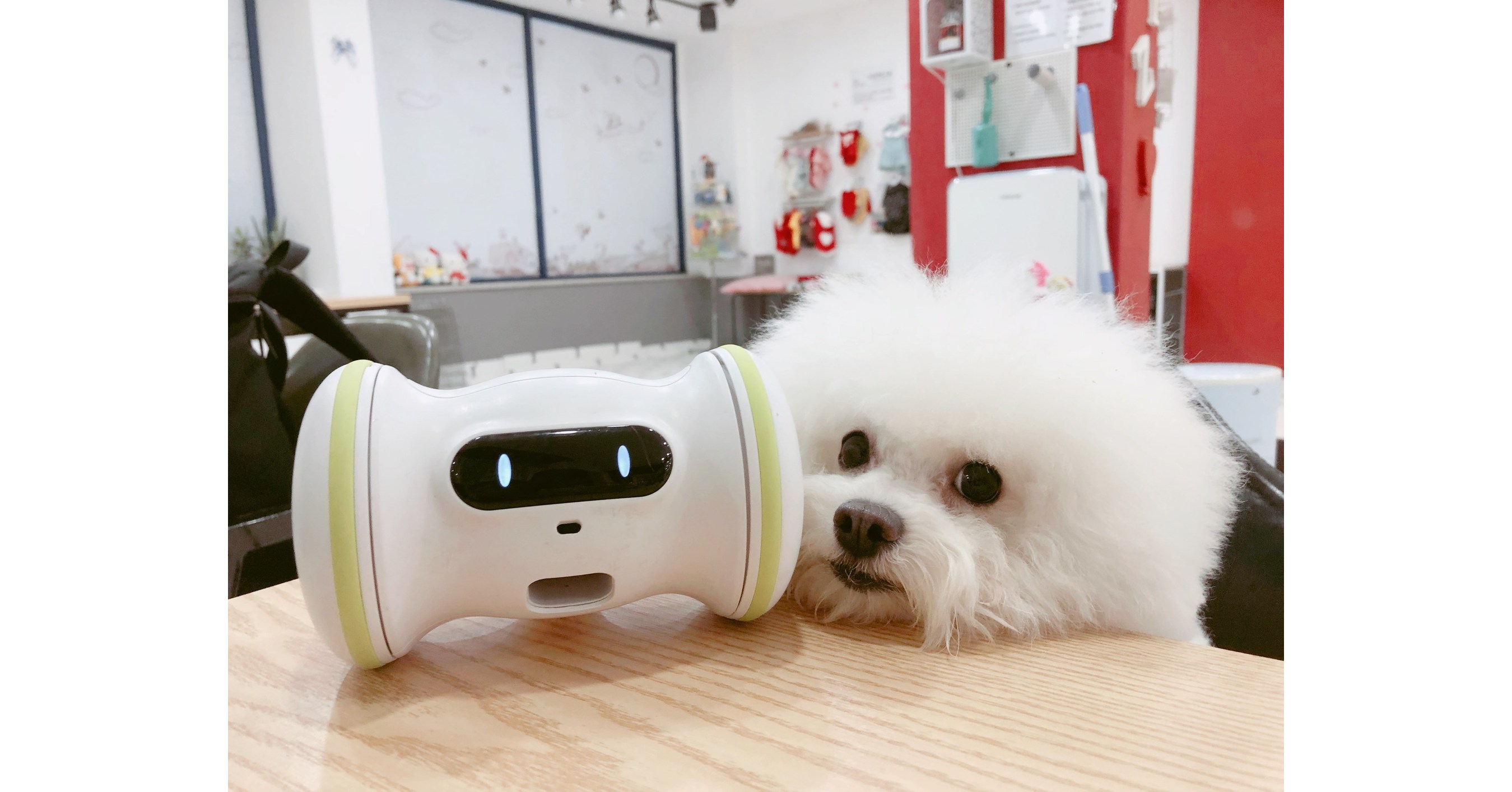 A Robotic Companion VARRAM Introduces an Artificial Intelligence-Powered Pet Robot - Connected-vet