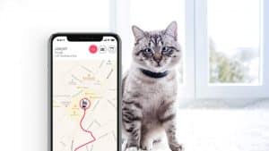 Tout ce que vous devez savoir sur le collier GPS pour chat