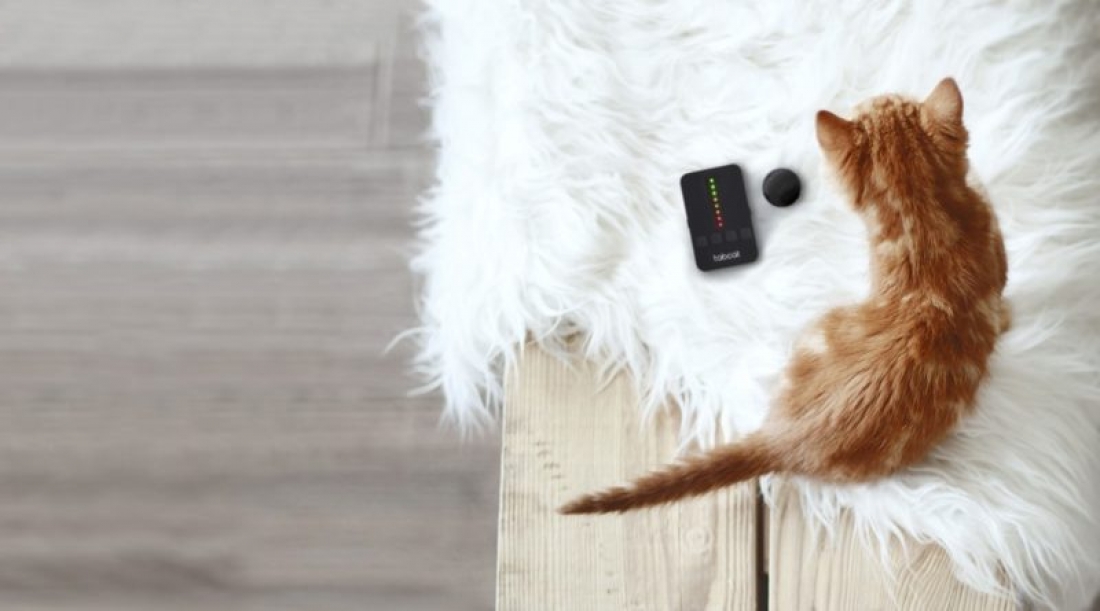 best cat tracking device